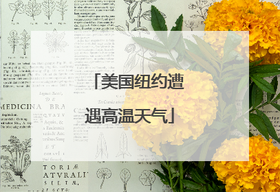 美国纽约遭遇高温天气
