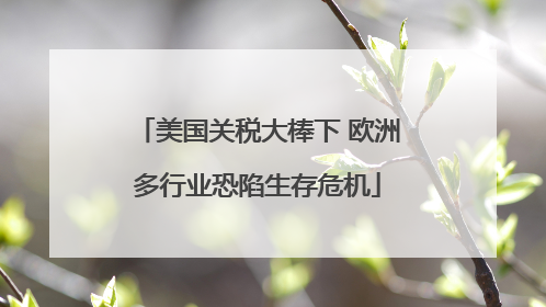美国关税大棒下 欧洲多行业恐陷生存危机