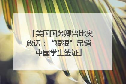 美国国务卿鲁比奥放话：“狠狠”吊销中国学生签证