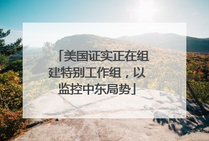 美国证实正在组建特别工作组，以监控中东局势