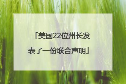 美国22位州长发表了一份联合声明