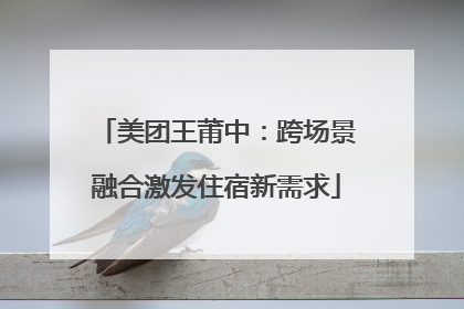 美团王莆中：跨场景融合激发住宿新需求