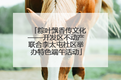 粽叶飘香传文化——开发区不动产联合李太屯社区举办特色端午活动