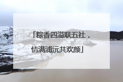 粽香四溢联五社,情满浦沅共欢颜