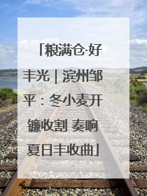 粮满仓·好丰光｜滨州邹平：冬小麦开镰收割 奏响夏日丰收曲