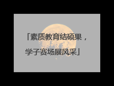 素质教育结硕果，学子赛场展风采