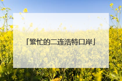 繁忙的二连浩特口岸