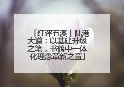 红评五溪丨陆港大道：以基建升级之笔，书鹤中一体化理念革新之章
