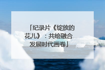 纪录片《绽放的花儿》：共绘融合发展时代画卷