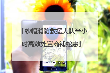 纱帽消防救援大队半小时高效处置商铺蛇患