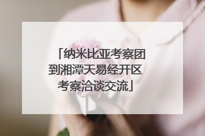纳米比亚考察团到湘潭天易经开区考察洽谈交流