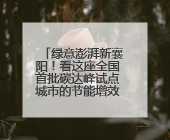 绿意澎湃新襄阳！看这座全国首批碳达峰试点城市的节能增效答卷