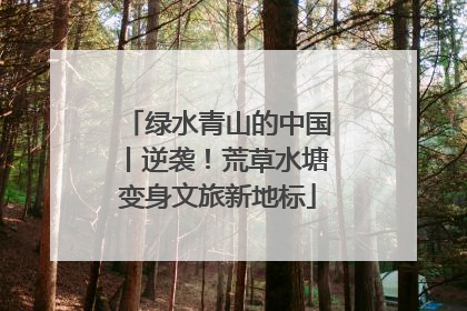 绿水青山的中国丨逆袭！荒草水塘变身文旅新地标