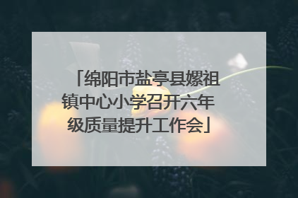 绵阳市盐亭县嫘祖镇中心小学召开六年级质量提升工作会