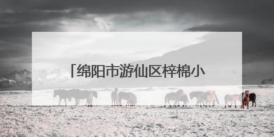 绵阳市游仙区梓棉小学开展小学语文“富乐课堂”教研活动
