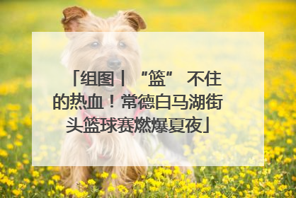 组图丨“篮” 不住的热血！常德白马湖街头篮球赛燃爆夏夜