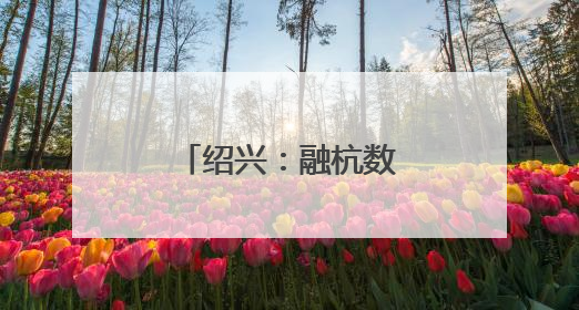 绍兴：融杭数贸港赋能外贸企业稳量提质
