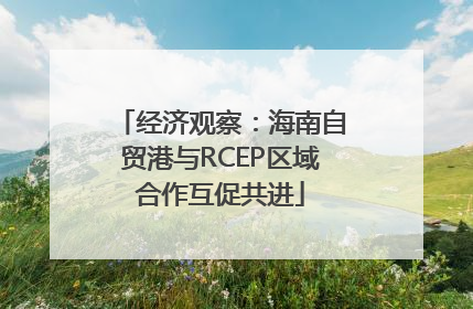 经济观察：海南自贸港与RCEP区域合作互促共进