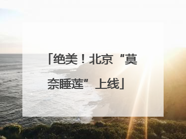 绝美！北京“莫奈睡莲”上线