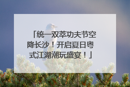 统一双萃功夫节空降长沙！开启夏日粤式江湖潮玩盛宴！