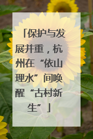 保护与发展并重，杭州在“依山理水”间唤醒“古村新生”