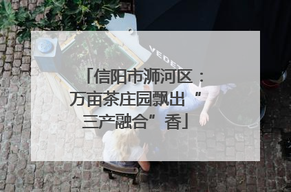 信阳市浉河区：万亩茶庄园飘出“三产融合”香