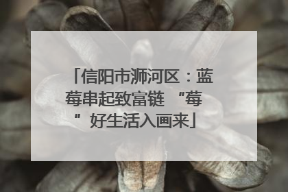 信阳市浉河区：蓝莓串起致富链 “莓”好生活入画来