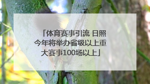 体育赛事引流 日照今年将举办省级以上重大赛事100场以上