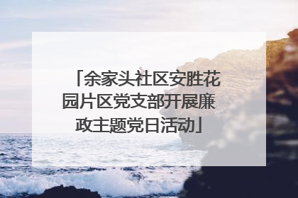 余家头社区安胜花园片区党支部开展廉政主题党日活动