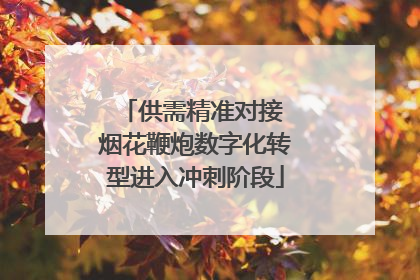 供需精准对接 烟花鞭炮数字化转型进入冲刺阶段