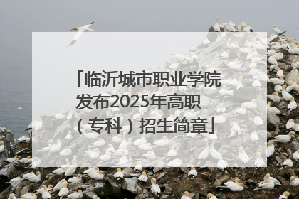 临沂城市职业学院发布2025年高职（专科）招生简章