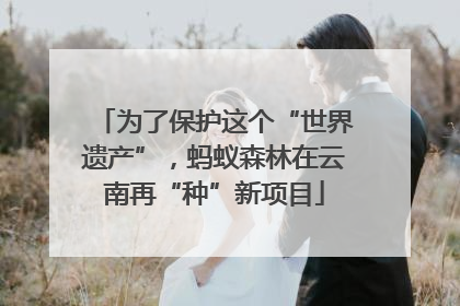 为了保护这个“世界遗产”，蚂蚁森林在云南再“种”新项目