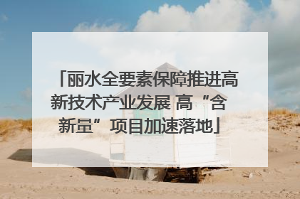 丽水全要素保障推进高新技术产业发展 高“含新量”项目加速落地