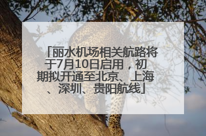 丽水机场相关航路将于7月10日启用，初期拟开通至北京、上海、深圳、贵阳航线