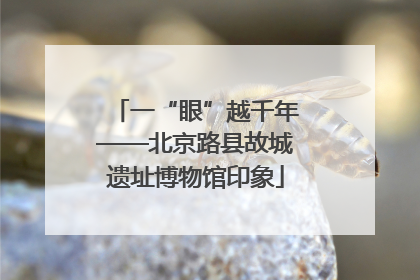 一“眼”越千年——北京路县故城遗址博物馆印象