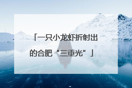 一只小龙虾折射出的合肥“三重光”