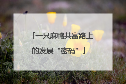 一只麻鸭共富路上的发展“密码”