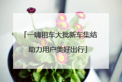 一嗨租车大批新车集结 助力用户美好出行