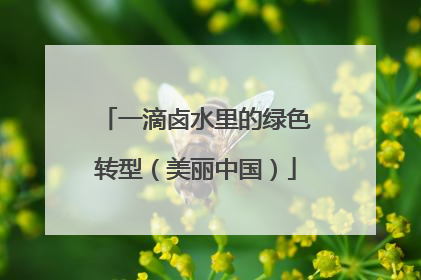 一滴卤水里的绿色转型（美丽中国）
