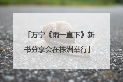 万宁《雨一直下》新书分享会在株洲举行