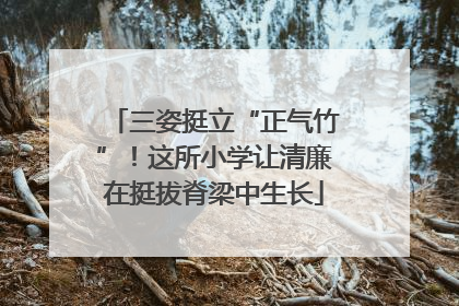 三姿挺立“正气竹”！这所小学让清廉在挺拔脊梁中生长