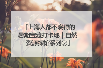 上海人都不晓得的 暑期宝藏打卡地｜自然资源探馆系列②
