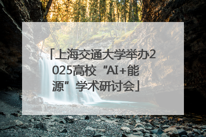 上海交通大学举办2025高校“AI+能源”学术研讨会