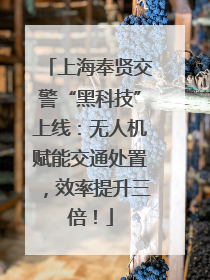 上海奉贤交警“黑科技”上线：无人机赋能交通处置，效率提升三倍！