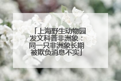上海野生动物园发文科普非洲象：同一只非洲象长期被欺负消息不实