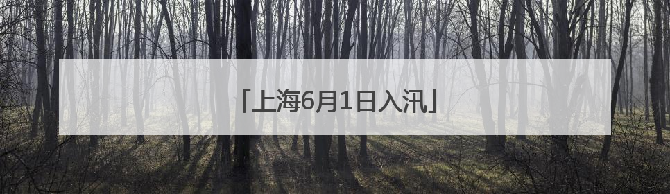 上海6月1日入汛