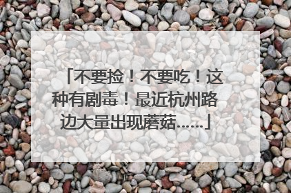 不要捡！不要吃！这种有剧毒！最近杭州路边大量出现蘑菇……