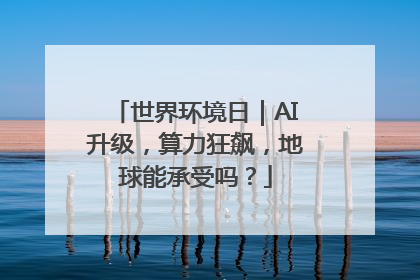 世界环境日｜AI升级，算力狂飙，地球能承受吗？