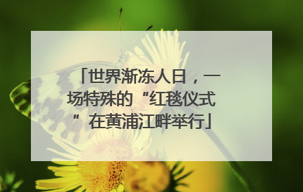 世界渐冻人日，一场特殊的“红毯仪式”在黄浦江畔举行