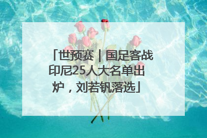 世预赛｜国足客战印尼25人大名单出炉，刘若钒落选
